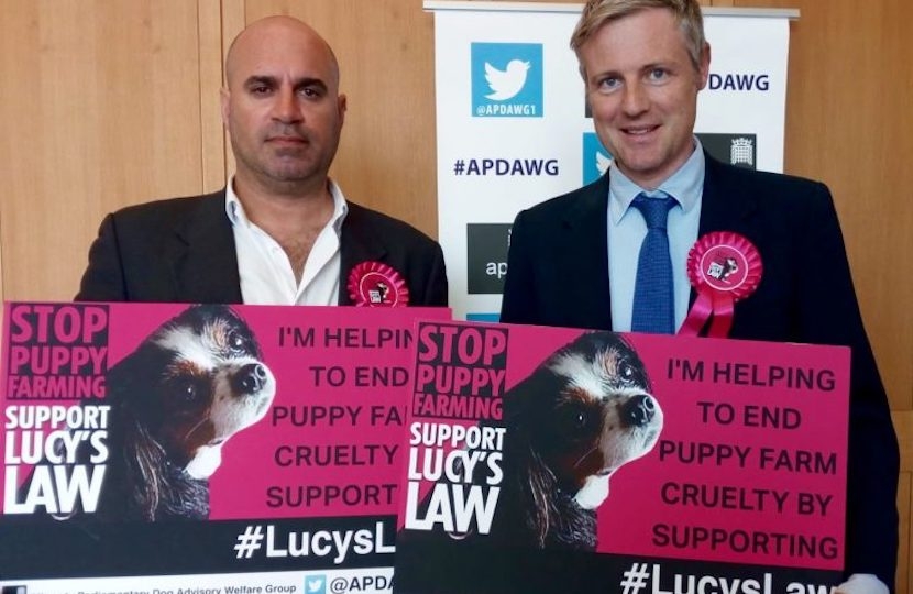 Zac Goldsmith MP taking a bold stance against puppy farming 