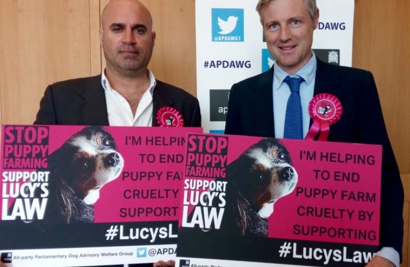 Zac Goldsmith MP taking bold actions to prevent puppy farming