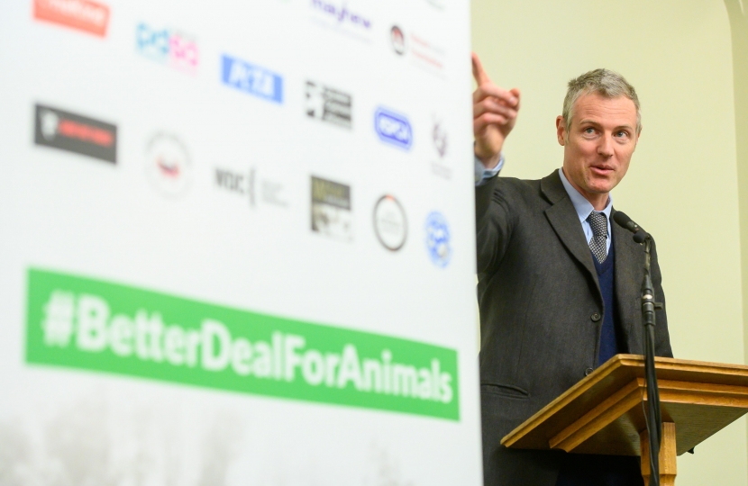 Zac Goldsmith MP for Richmond Park asks for better deal for animals post- brexit