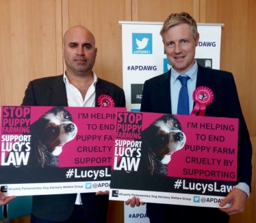 Zac Goldsmith MP taking bold actions to prevent puppy farming