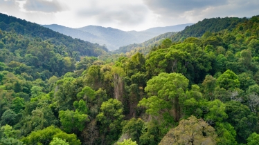 Zac Goldsmith MP £10 million to protect and restore the Amazon rainforest 